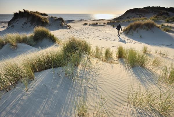 Heerlijk Vrijstaand Huis Aan De Duinen Burgh-Haamstede Exterior foto